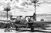 Tropical Airfield_Japanese_035